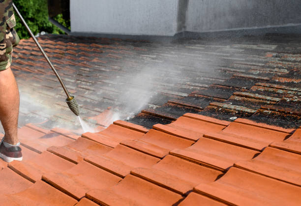 Best Garage Pressure Washing  in Peosta, IA