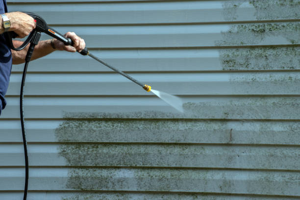 Best Concrete Pressure Washing  in Peosta, IA