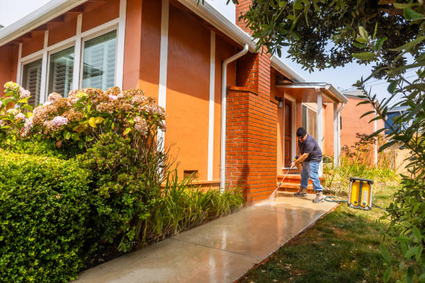 Best Pressure Washing Brick  in Peosta, IA