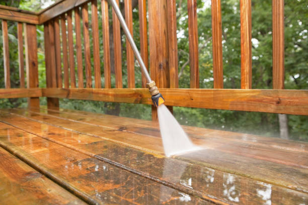 Best House Pressure Washing  in Peosta, IA