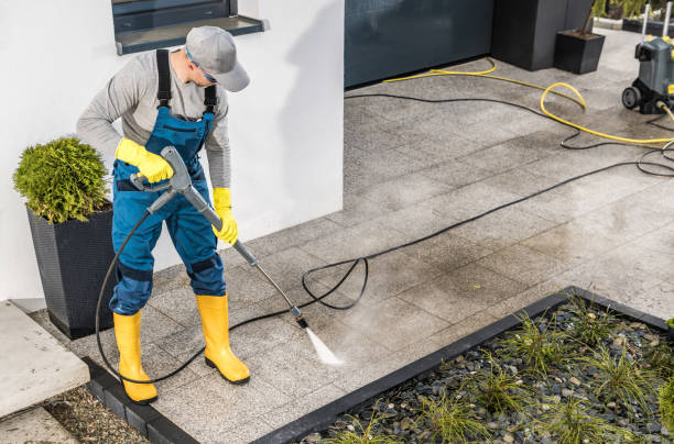 Best Affordable Power Washing  in Peosta, IA