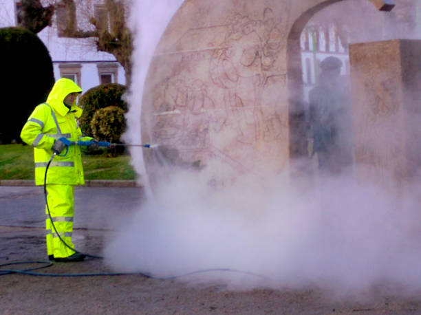 Best Best Pressure Washing Companies  in Peosta, IA