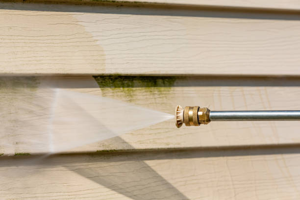 Best Pressure Washing Estimates  in Peosta, IA