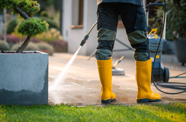 Best House Pressure Washing  in Peosta, IA